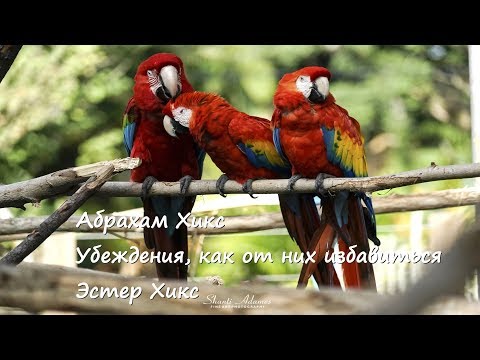 Видео: Абрахам Хикс – Убеждения, как от них избавиться  (с субтитрами) – Эстер Хикс