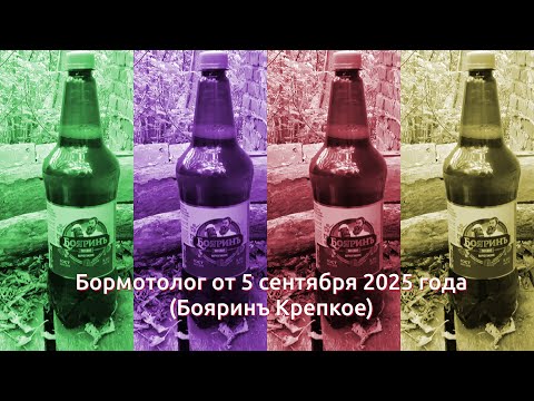 Видео: Бормотолог от 5 сентября 2025 г. (Бояринъ Крепкое)