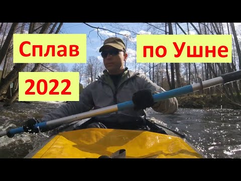 Видео: Сплав по реке Ушна от Николо-Ушны до Молотиц. 2022 год