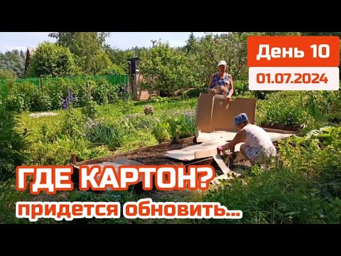 Видео: Картон в огороде и Плодородие почвы. Снова косим Одуванчики. Как избавиться от семян сорняков?