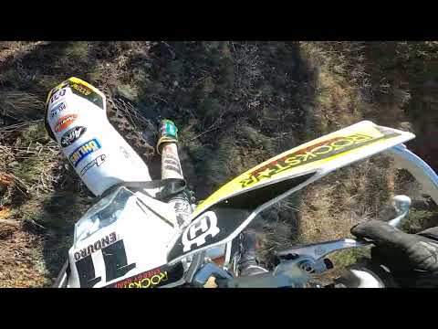 Видео: 17.11.2024 г.