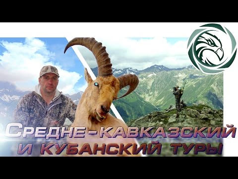 Видео: ГОРНАЯ ОХОТА НА СРЕДНЕ-КАВКАЗСКОГО И КУБАНСКОГО ТУРА (Mid Caucasian Tur hunting)