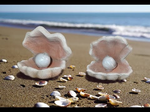 Видео: ракушки-светильники из арт бетона