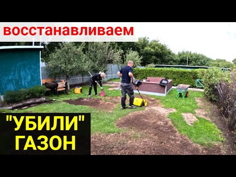 Видео: Восстанавливаем газон.