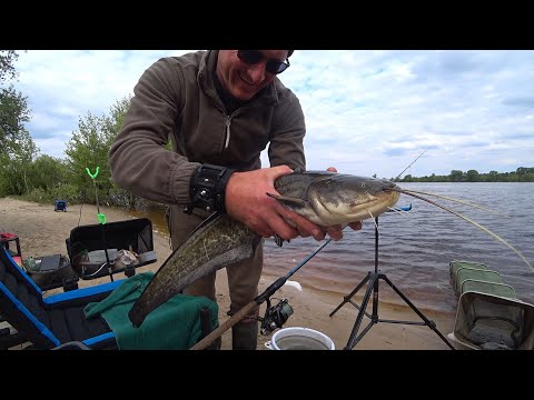 Видео: Фідерна риболовля в травні. Дніпро. Порадував трофей 🏆