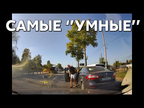 Видео: Подборка САМЫХ "УМНЫХ" водителей #1040