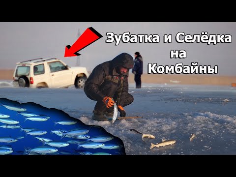 Видео: Рыбалка зимой на эти странные снасти! Ловля рыбы на комбайны в речном фарватере