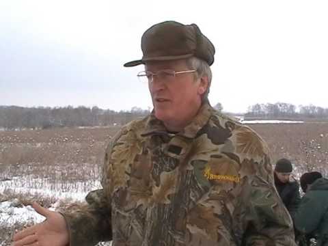 Видео: охота с норными