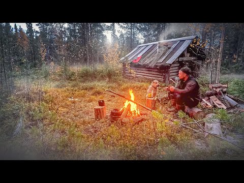 Видео: Разожгли печь в избе и началось. Жизнь в дали от цивилизации. Подшаманили древнюю избу. Таёжный быт
