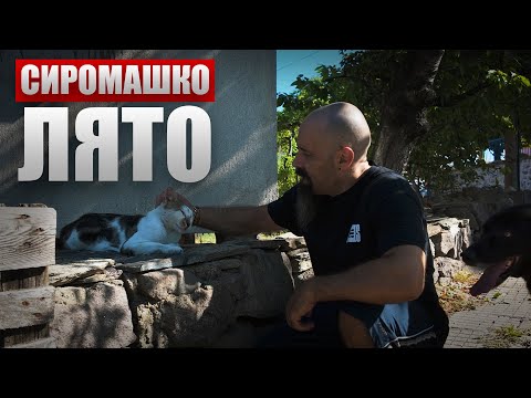Видео: МАСЛО като СМЕТАНОВ СЛАДОЛЕД | Август 2025