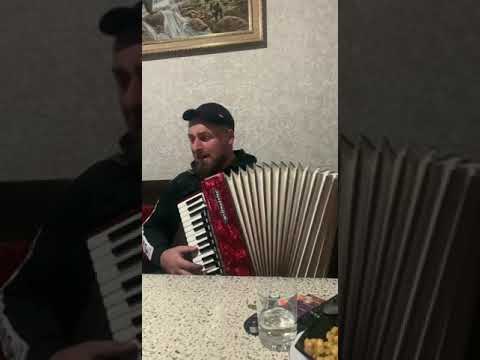 Видео: МУХТАР ГАМЗАЕВ-НАРОДНАЯ ЛИРИЧЕСКАЯ 2023г.