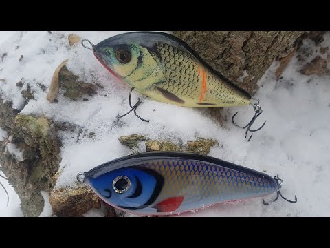 Видео: Батл Джеркбейтов! Slider 16 & Big Game Shad или как отсеять мелкую щуку.