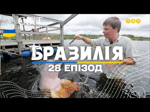 Видео: Рожеві прісноводні дельфіни Амазонії та смажені банани. Світ навиворіт 10 сезон 28 випуск