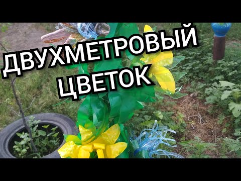 Видео: Большой вьющийся цветок из ПЭТ бутылок.