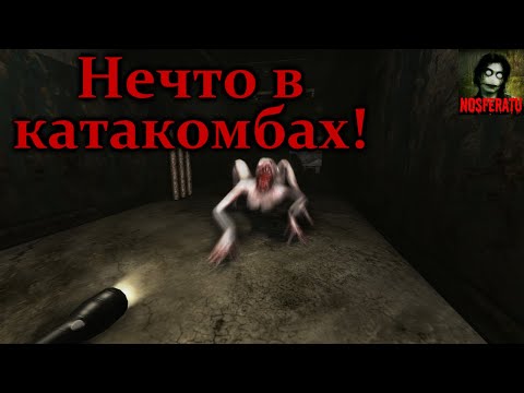 Видео: НЕЧТО В КАТАКОМБАХ! Страшные истории на ночь. Страшилки на ночь