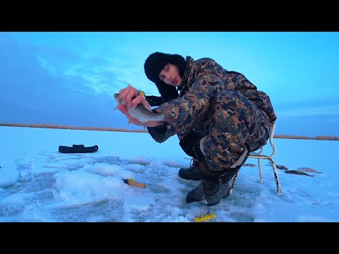 Видео: ҚЫСТА БАЛЫҚ БҰЛАЙ ТҮСЕДІ ДЕП ОЙЛАМАДЫМ !!!