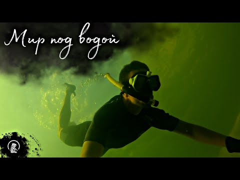 Видео: Подводный мир Силикатного карьера  Навашино.