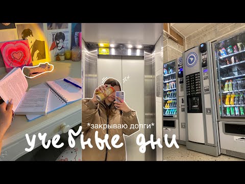 Видео: study days: закрываю долги😵‍💫