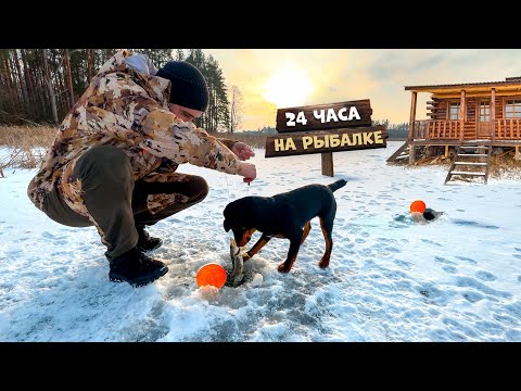 Видео: Первые 24-Часа в Лесном домике. Рыбалка на жерлицы и кружки