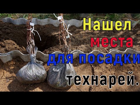 Видео: Виноград . Наконец то нашел  места для посадки технарей .