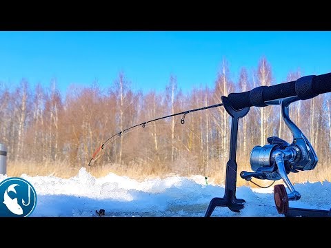 Видео: 🐟 Ловля плотвы на зимний фидер. Первый раз ловлю зимой на фидер в феврале