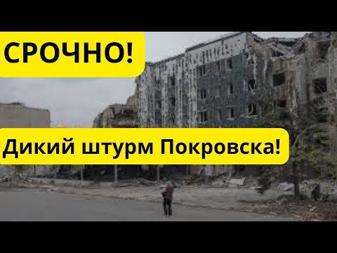 Видео: Срочно! Мощный штурм Покровска! Россияне лезут как тараканы!