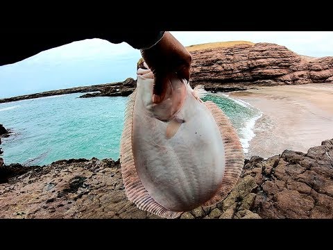 Видео: Вы должны использовать эту приманку для ловли камбалы || Как ловить подошву с отсадкой