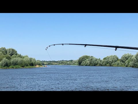 Видео: ЭТА НАСАДКА ТВОРИТ ЧУДЕСА  ФИДЕР НА ОКЕ   РЫБАЛКА В ИЮНЕ