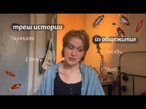 Видео: жизнь в общежитии:🪳треш🪳 истории из общаги