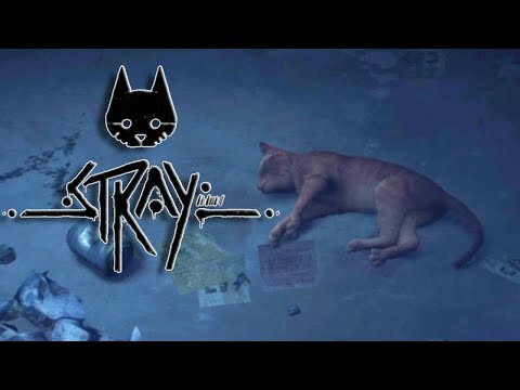 Видео: #1 БРОДЯГА ● Stray | Прохождение без комментариев | PS5