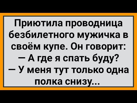 Видео: Как Проводница Приютила в Купе Безбилетного Мужичка! Сборник Свежих Смешных Анекдотов!