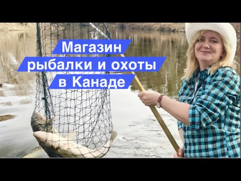 Видео: Магазин рыбалки и охоты в Канаде.