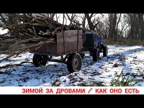 Видео: ЗИМОЙ ЗА ДРОВАМИ НА ТЯЖЁЛОМ ДИЗЕЛЬНОМ МОТОБЛОКЕ КАК ОНО ЕСТЬ