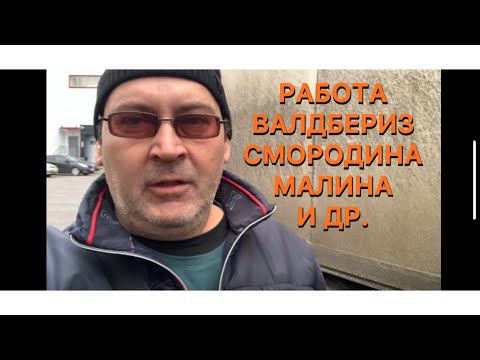Видео: Работа Валдбериз Смородина Малина