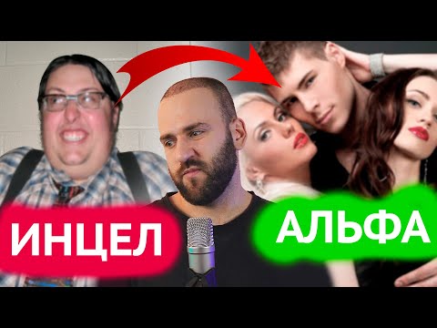 Видео: Как найти девушку и перестать быть инцелом