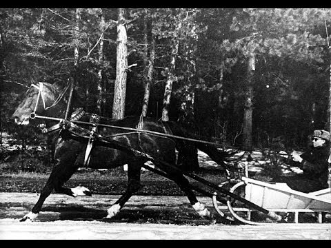 Видео: Квадрат завершает круг