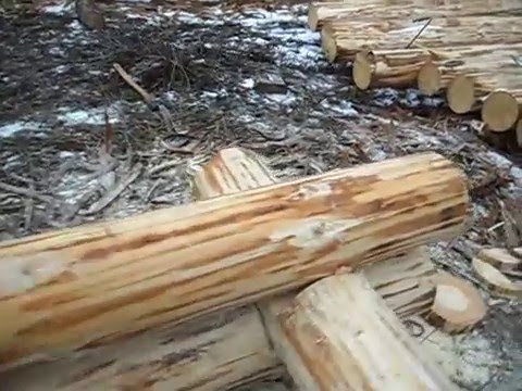 Видео: Сруб в русский угол , работа с плотницкой чертой .