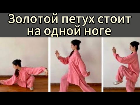 Видео: Многоуровневое понимание движения  «Золотой петух стоит на одной ноге».