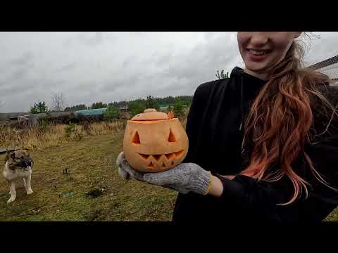 Видео: Маша бесит сову, Вера рекламирует инвалидных птичек