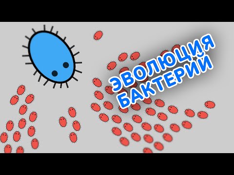 Видео: Делаю эволюцию ИИ в Unity