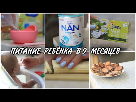 Видео: ПРИКОРМ 🍵/ РАЦИОН НА 2 ДНЯ 🍽/ ЧЕМ КОРМЛЮ ДОЧКУ🥦/ ПИТАНИЕ РЕБЁНКА В 9 МЕСЯЦЕВ🍎