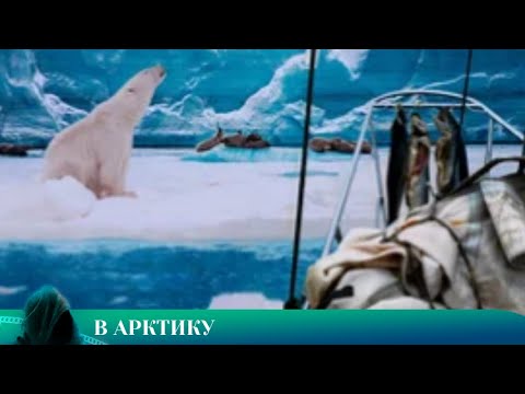 Видео: ФИЛЬМ НА ВЕЧЕР: В АРКТИКУ
