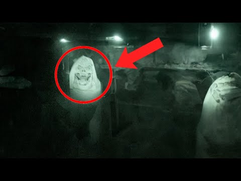 Видео: НЕИЗВЕСТНЫЕ существа снятые на камеру