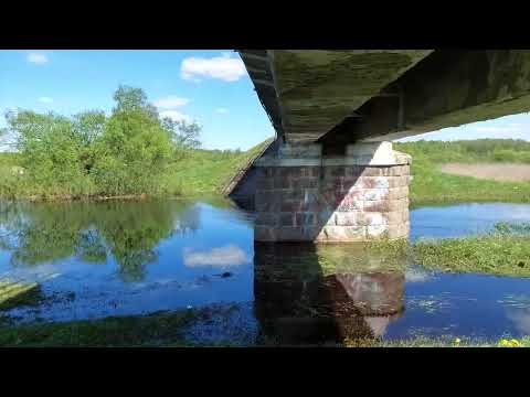 Видео: Осиповичи! Прогулка по городу! 3ч. 3 мая 2024г.