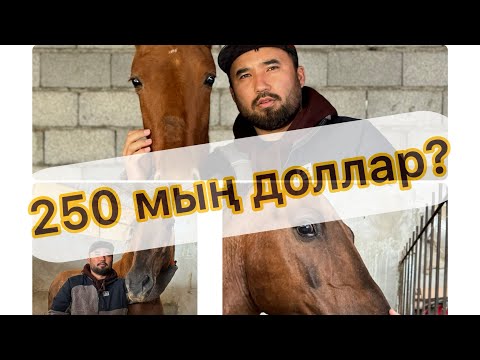 Видео: Хит болып жатқан құлын! Тұмардың бел баласы Таутұмар