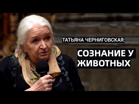 Видео: Сознание у животных. Татьяна Черниговская