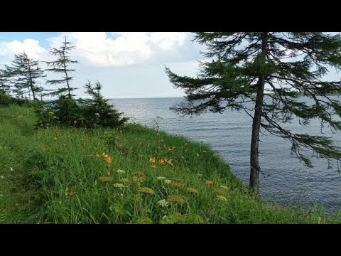 Видео: ДАЛЬНИЙ ВОСТОК, КРАСОТА .ГДЕ ЛОВЯТ РЫБУ ? ХАБАРОВСКИЙ КРАЙ . ГРОЗОВЫЕ ВОРОТА 2022