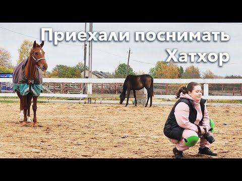 Видео: День с кобылами | Надеваю попону