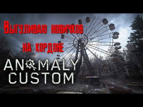 Видео: Stalker anomaly custom Выгуливаю новичков на кордоне [2К]✅