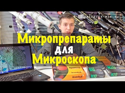 Видео: Микропрепараты для микроскопа